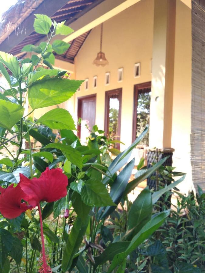 Cewin'S Homestay Kuta  Exterior foto